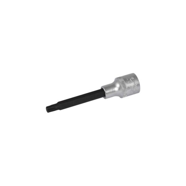 Izeltaş T50X100 mm Lokma Uçlu Uzun Star (Torx) Uç